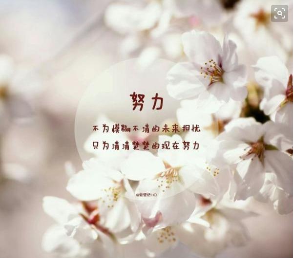 感悟人生的哲理句子10个字,佛说看透人生感悟人生的经典句子