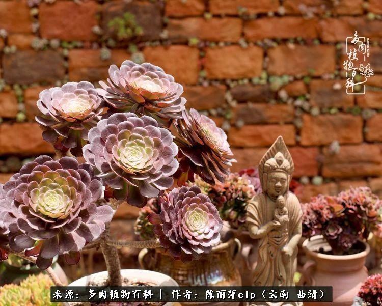 佛系看风景的地方,佛系风景空境视频