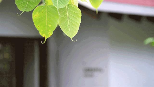 遇间播报|三亚太阳湾柏悦酒店隐奢国牌在此诞生!有惊喜