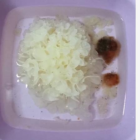 过期的胶原蛋白粉,胶原蛋白粉