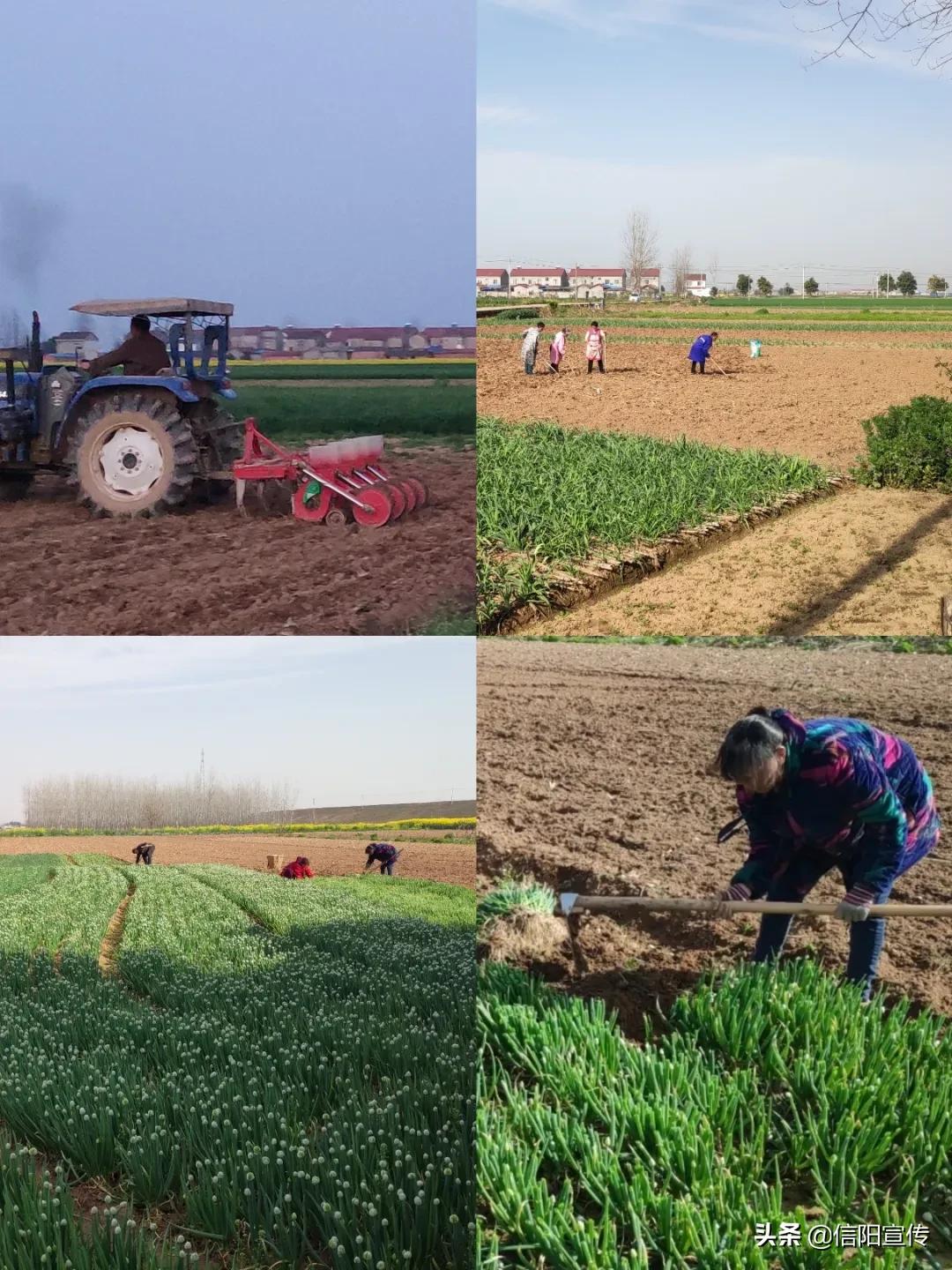 同心抗疫乐宅秀|做美食、练书法、勤学习…综合图集来啦