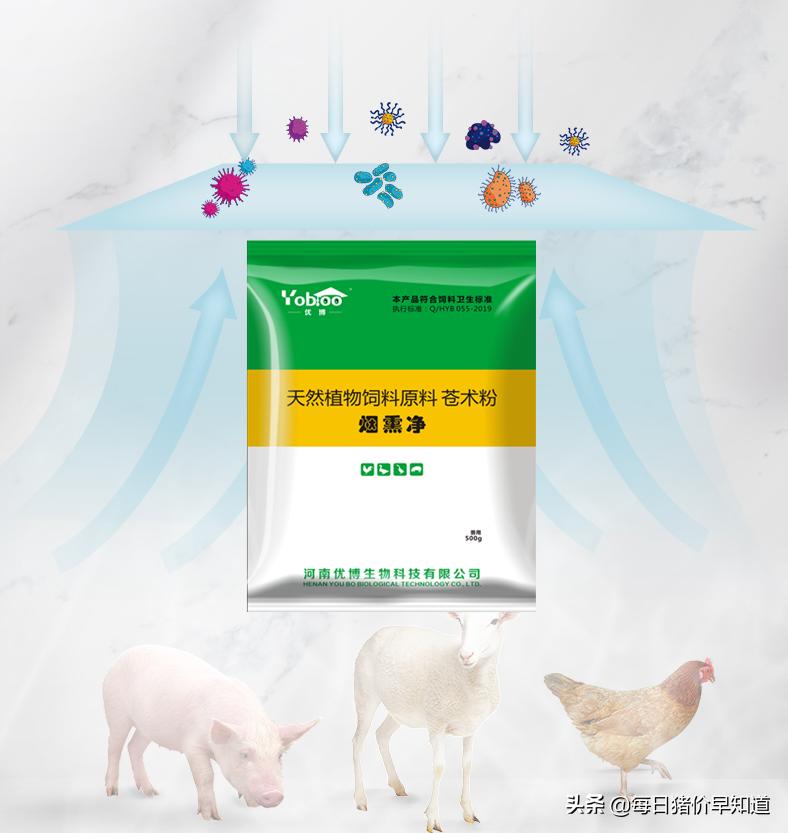 苍术种植杀菌用药,苍术有病虫害用啥药