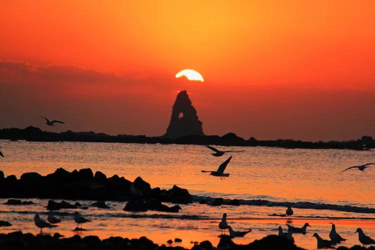 尼康入门单反,单反快速入门攻略