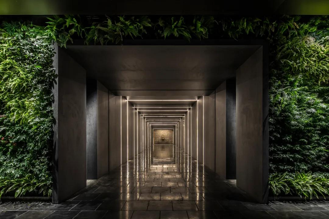 首发|为上设计：幽然静廖，禅意惺寂