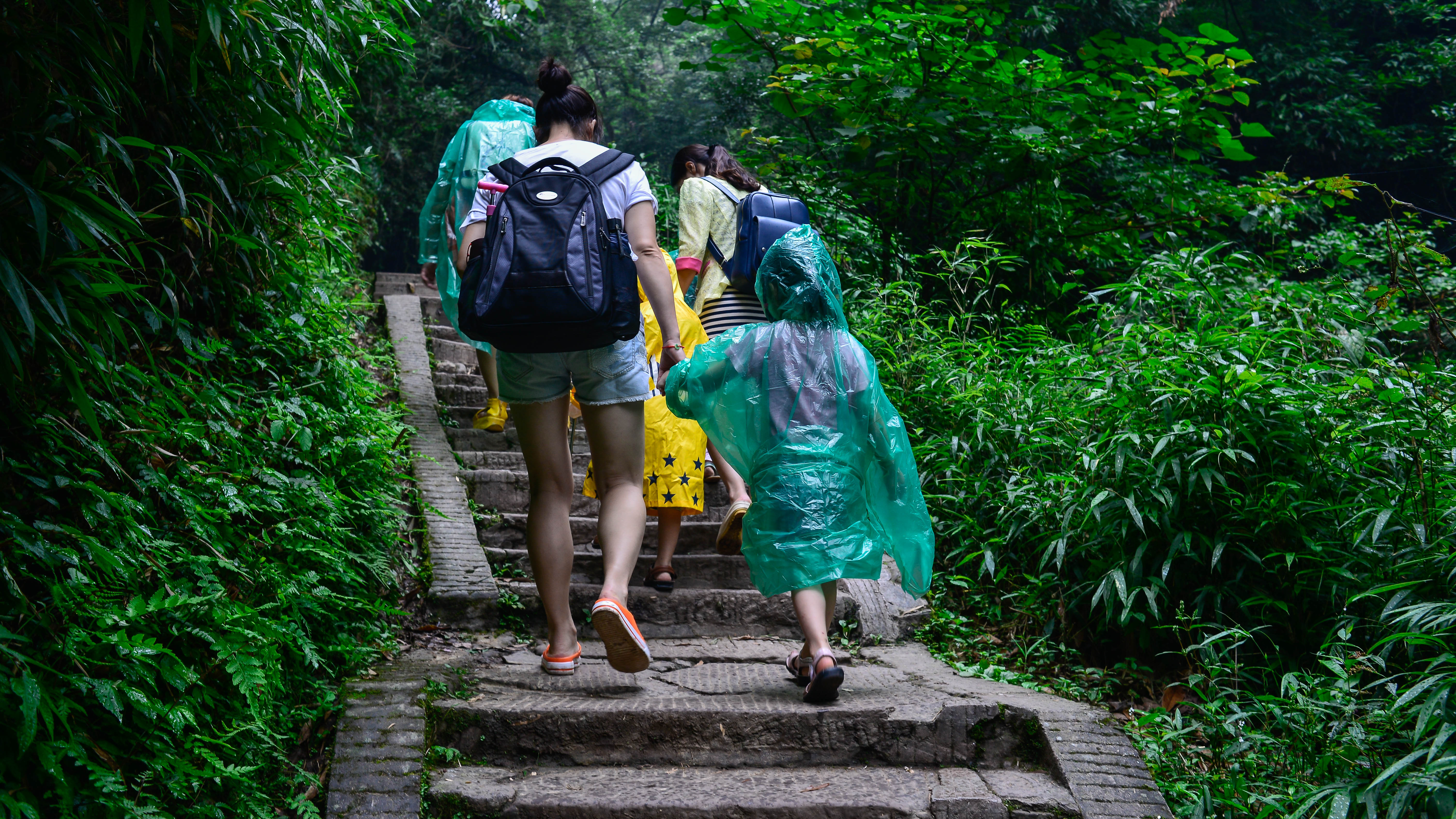 青城后山的民宿哪个性价比高,青城山必住的亲子民宿