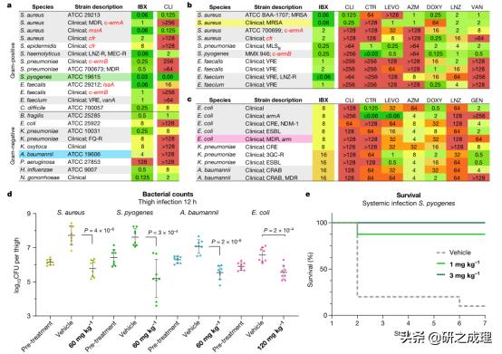 nature重磅抗生素 (有机合成抗生素)