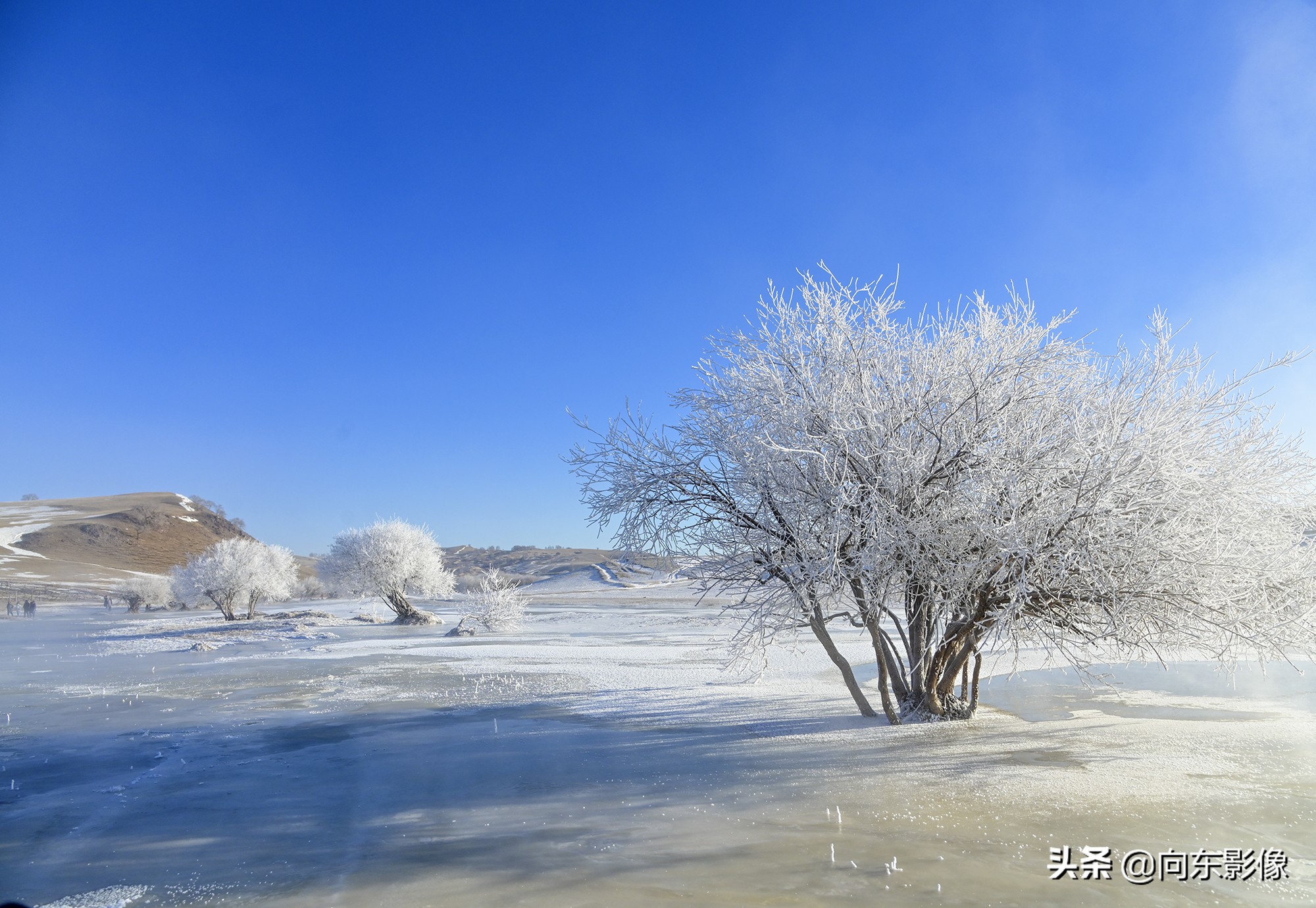 尼康z7一代高感,尼康z7ii4k60p是超采样吗