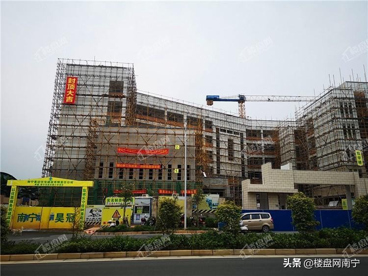 2019年南宁西乡塘区小学地段划分,西乡塘区的小学都是按地段吗