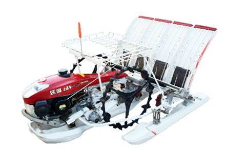 最新款小型水稻插秧机4排,水稻插秧机推荐