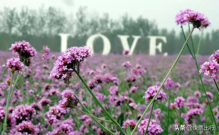 河北求婚景点,唐山表白圣地