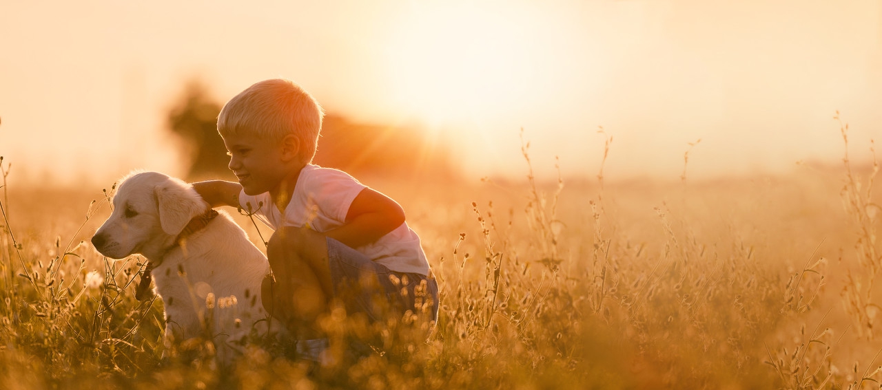 情色片如何影响你的大脑