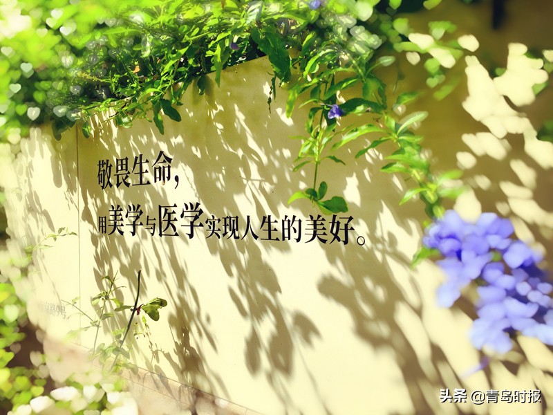 曝光医美背后的黑幕视频,青岛正规医美机构怎么找