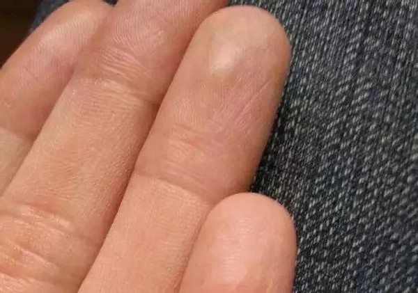 安发甘诺宝力的真实感受,安发国际甘诺宝力有权威吗