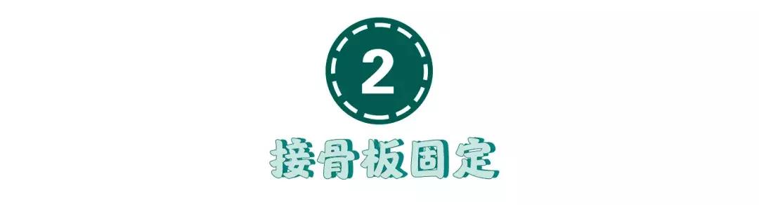 猫咪狗狗骨折了怎么办？扒一扒宠物“骨子里”的那些事