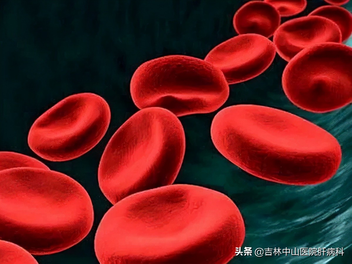 胆红素升高怎么办,胆红素升高怎么办呢