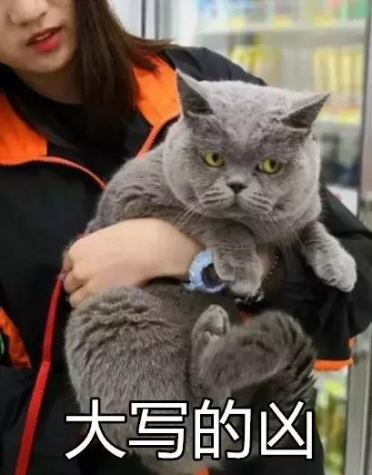 香港这家便利店的店长,靠着腮帮子走红了