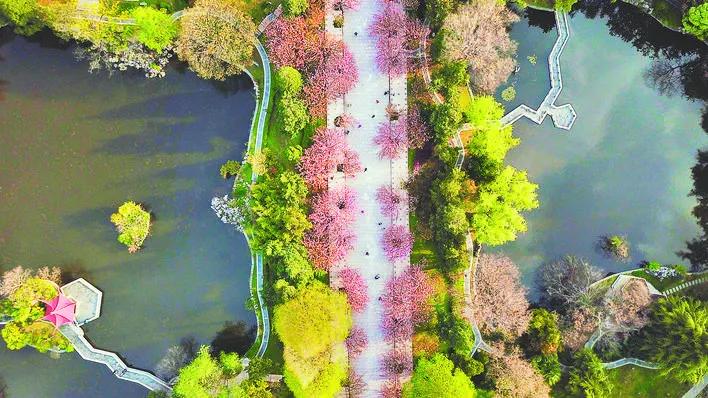 合肥被评为最宜居的城市,西安与合肥哪个宜居