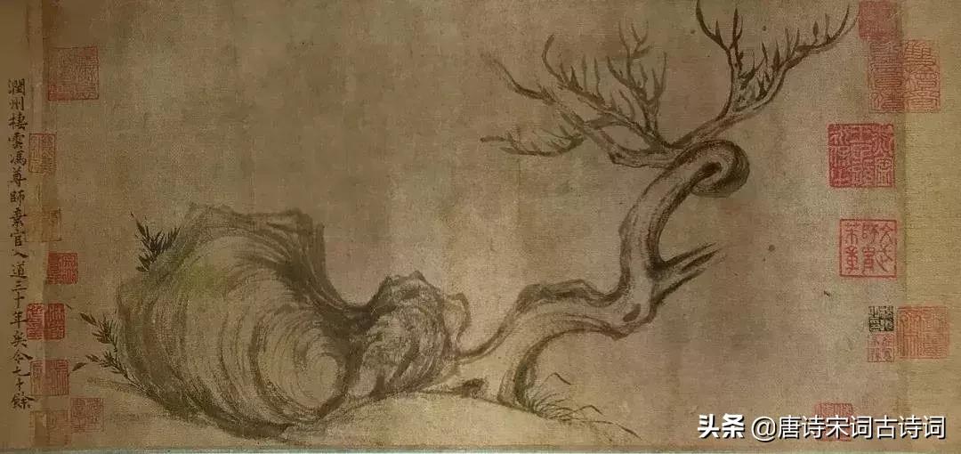 全才苏东坡歌曲,全才季羡林