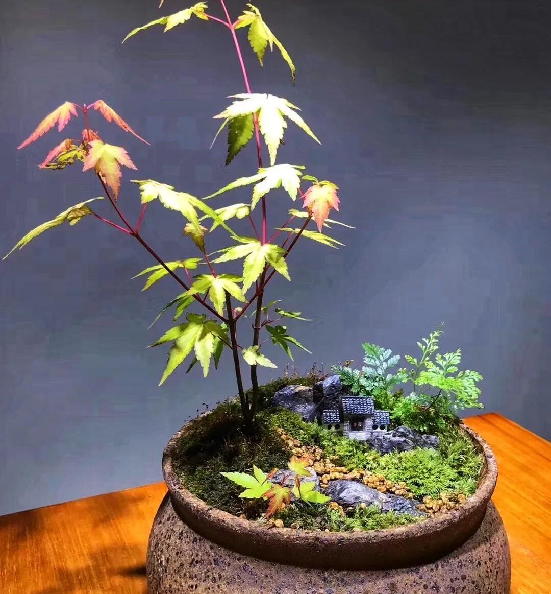 路过南京的地方,路过南京的夜晚