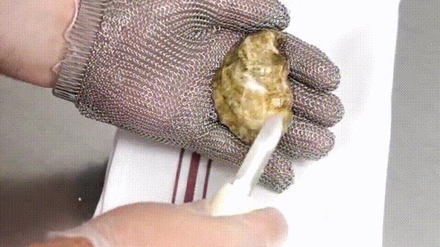 “海中牛奶”生蚝究竟能不能生吃?一篇文章解析牡蛎的养殖与品质