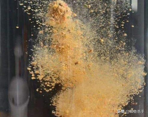 夏天野钓大鲫鱼怎么打窝避小鱼,野钓打什么窝料避小鱼