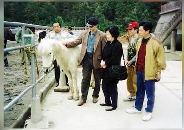 白龙马惨死最后怎么解决的,白龙马惨死事件