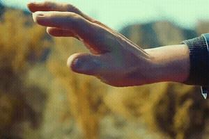 人生如戏，生如鼠蚁，当立鸿鹄之志，打通任督二脉，即刻飞升成仙