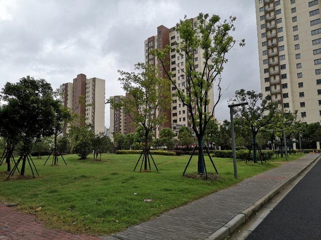 上海临港新片区万祥东来建设,临港新片区万祥