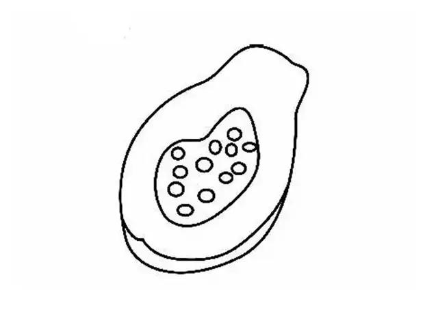100种水果简笔画图片大全大图,儿童简笔画入门水果0-3岁