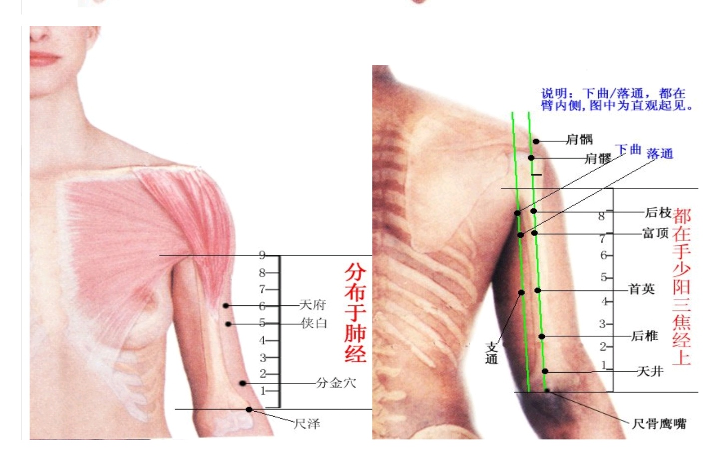 每日一学——学点董穴（1）