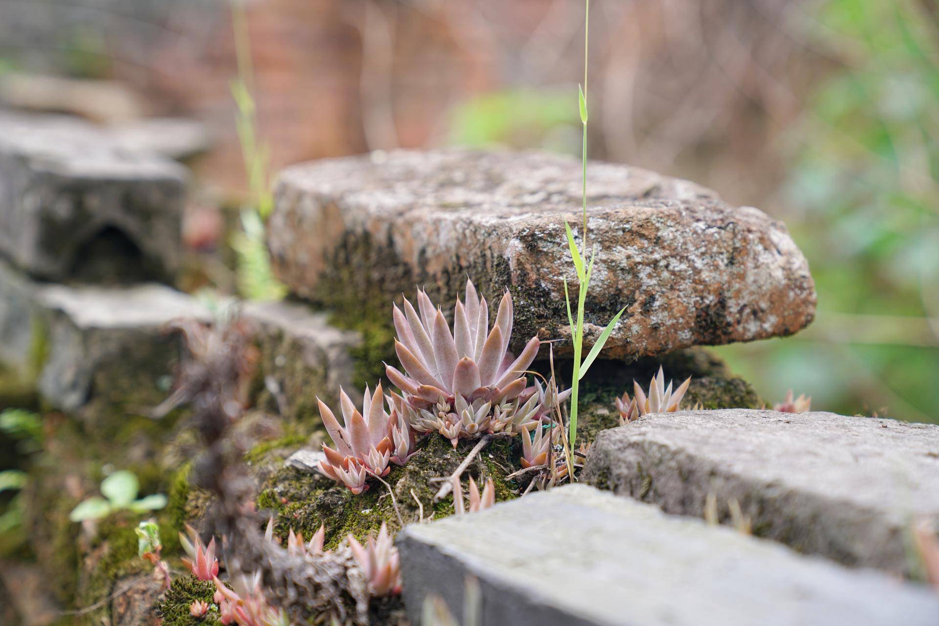 洗车神器洗车浇花两不误轻松搞定,洗车浇花神器大全