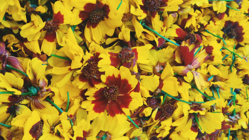 新疆喀什游玩与饮食,新疆喀什旅游去哪买特产