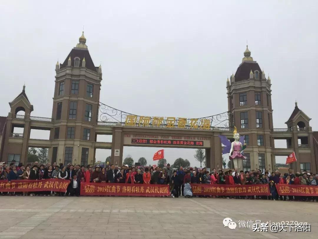 我的旅行社,厉害了我的旅游团