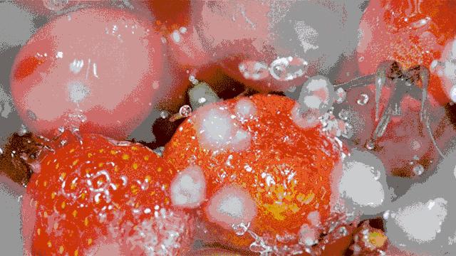 孕期长妊娠纹特别痒怎么办,产后妊娠纹痒是怎么回事