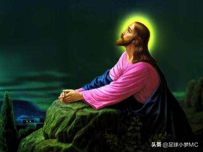 体育新星创作营评选,体育新星创作营