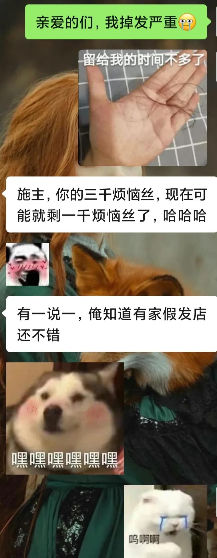 西译的花式群名，确定不看看吗？