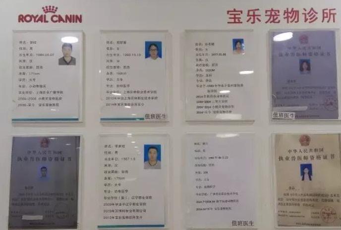 如何看待宠物看病贵,天津乖乖宠物医院看病贵吗