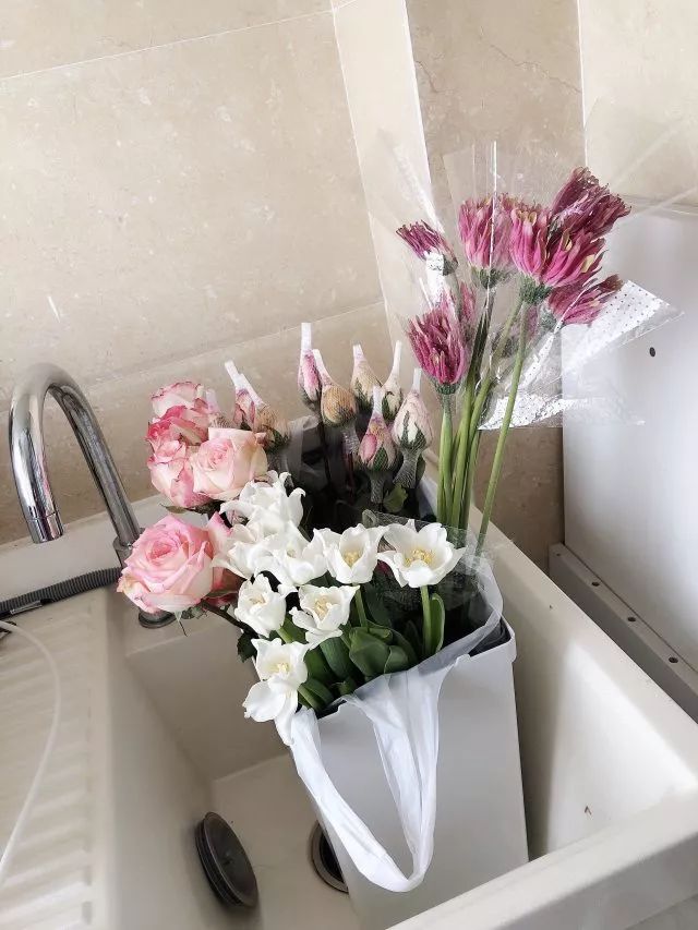 叫醒玫瑰花的办法