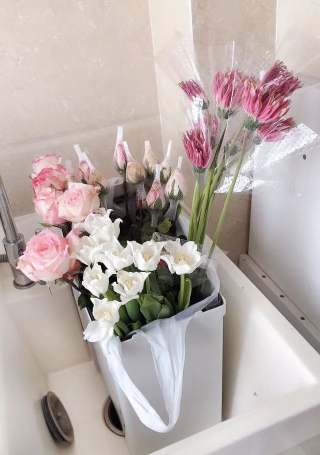 叫醒玫瑰花的办法