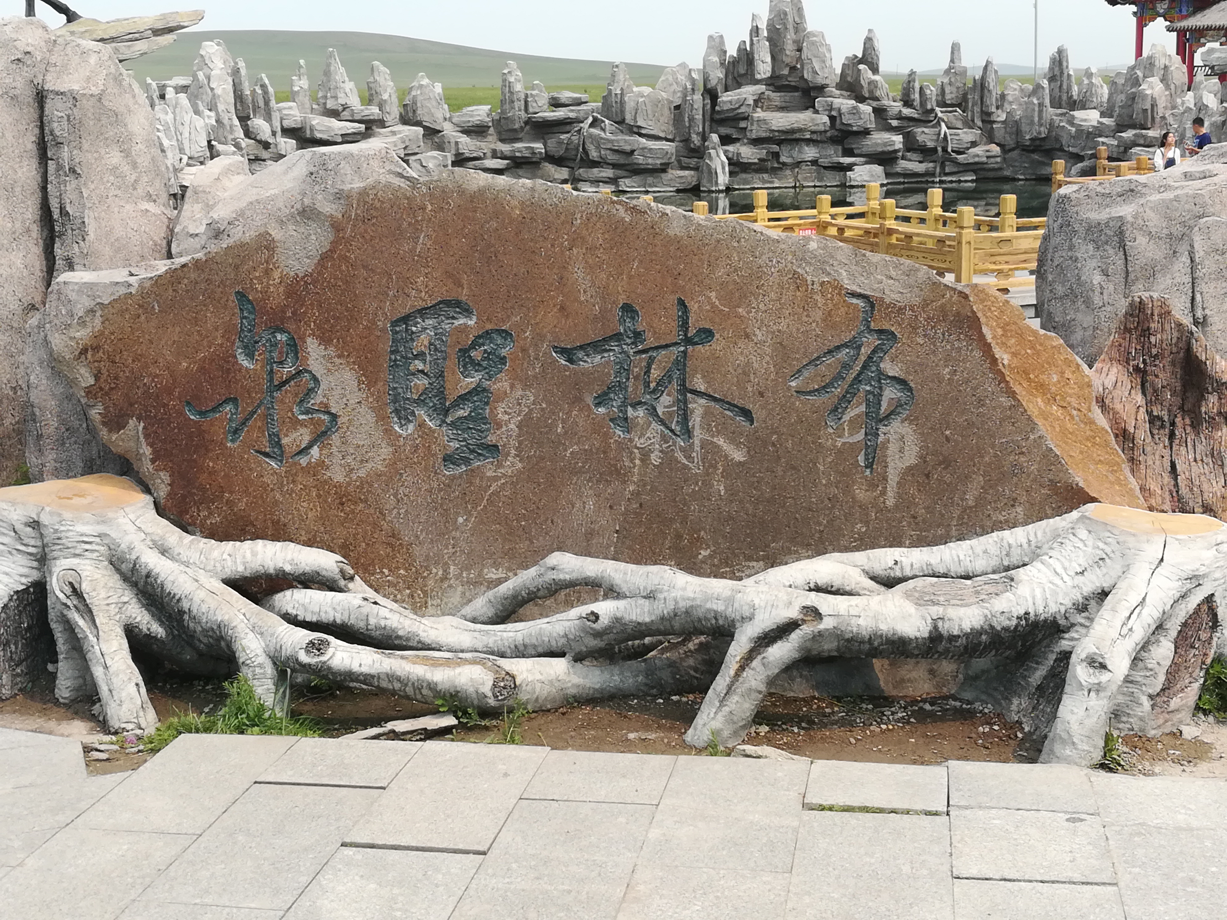 天边的草原乌拉盖抖音直播间,天边草原乌拉盖