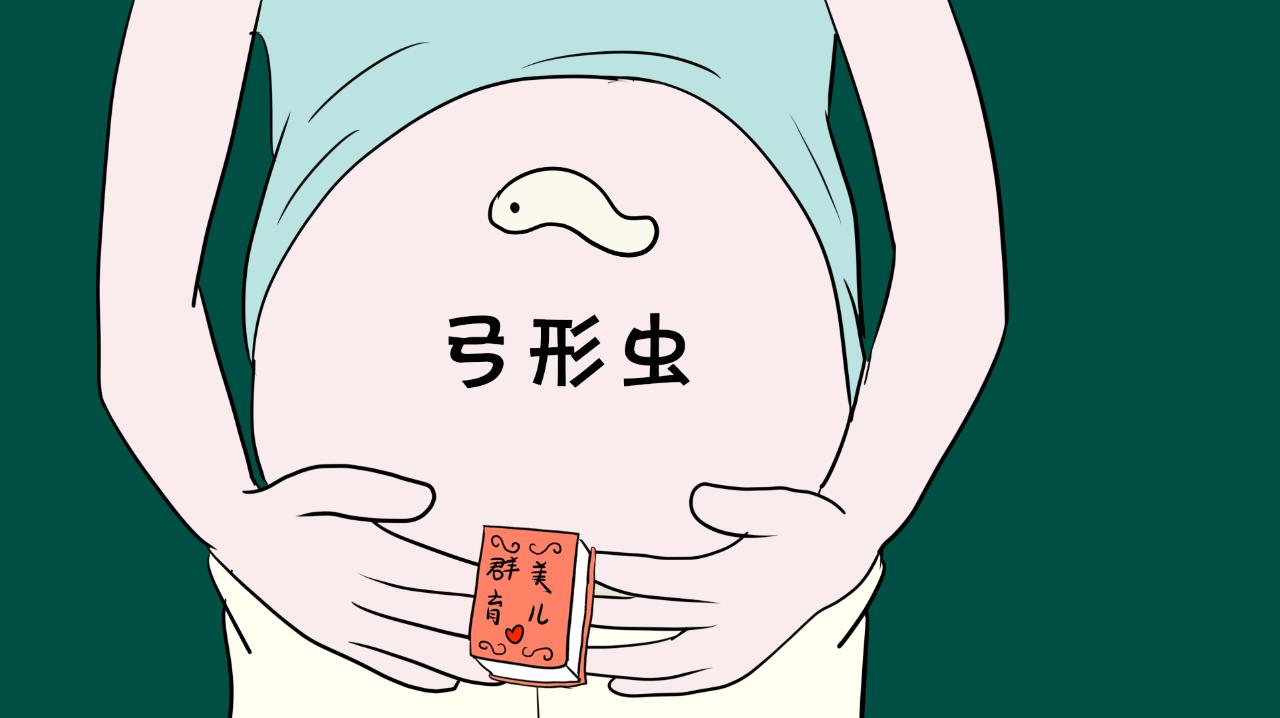 弓形虫怎样从动物中传染到人类,弓形虫的主要宿主