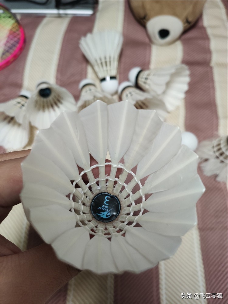 柏圣羽毛球测评,飞云零狼羽毛球怎么样