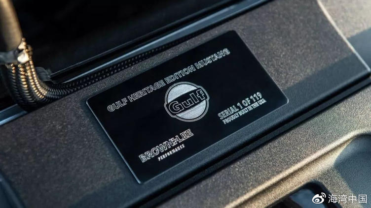 福特野马gt全球限量,福特野马gt第五代