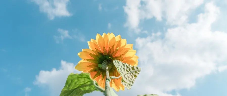 一篇文章掌握心理学,一篇文章告诉你为什么要用apollo