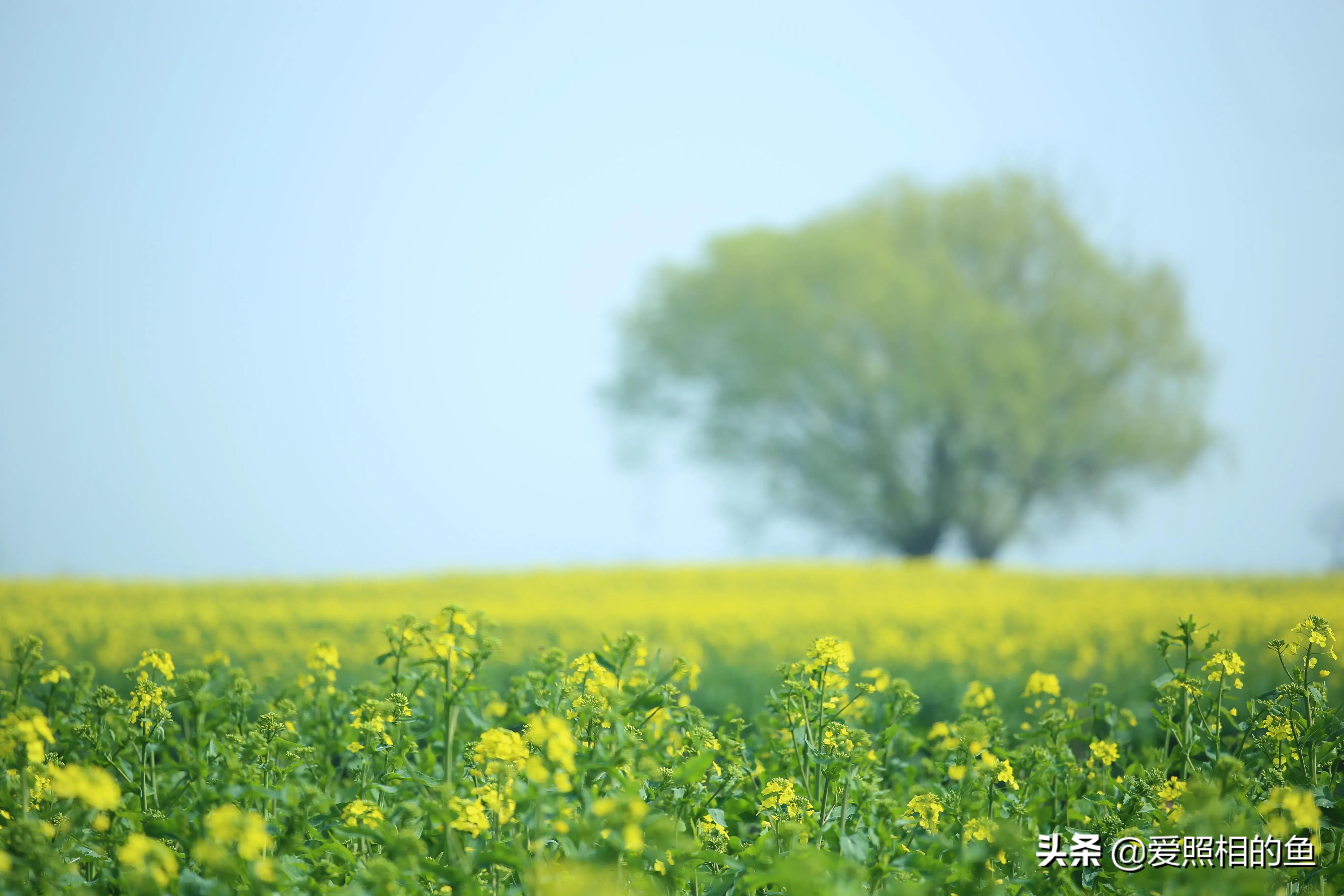 一个普普通通的小镇兴化,兴化为什么没有大城市的繁华