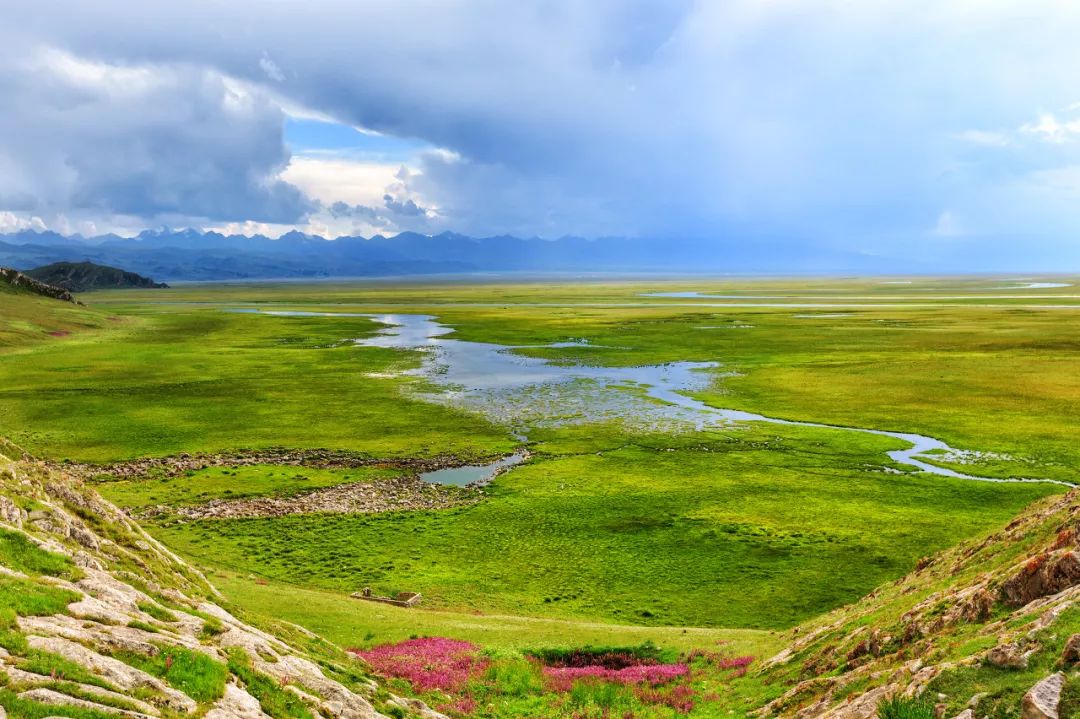 六月的北疆哪些地方值得去,六月的北疆解说