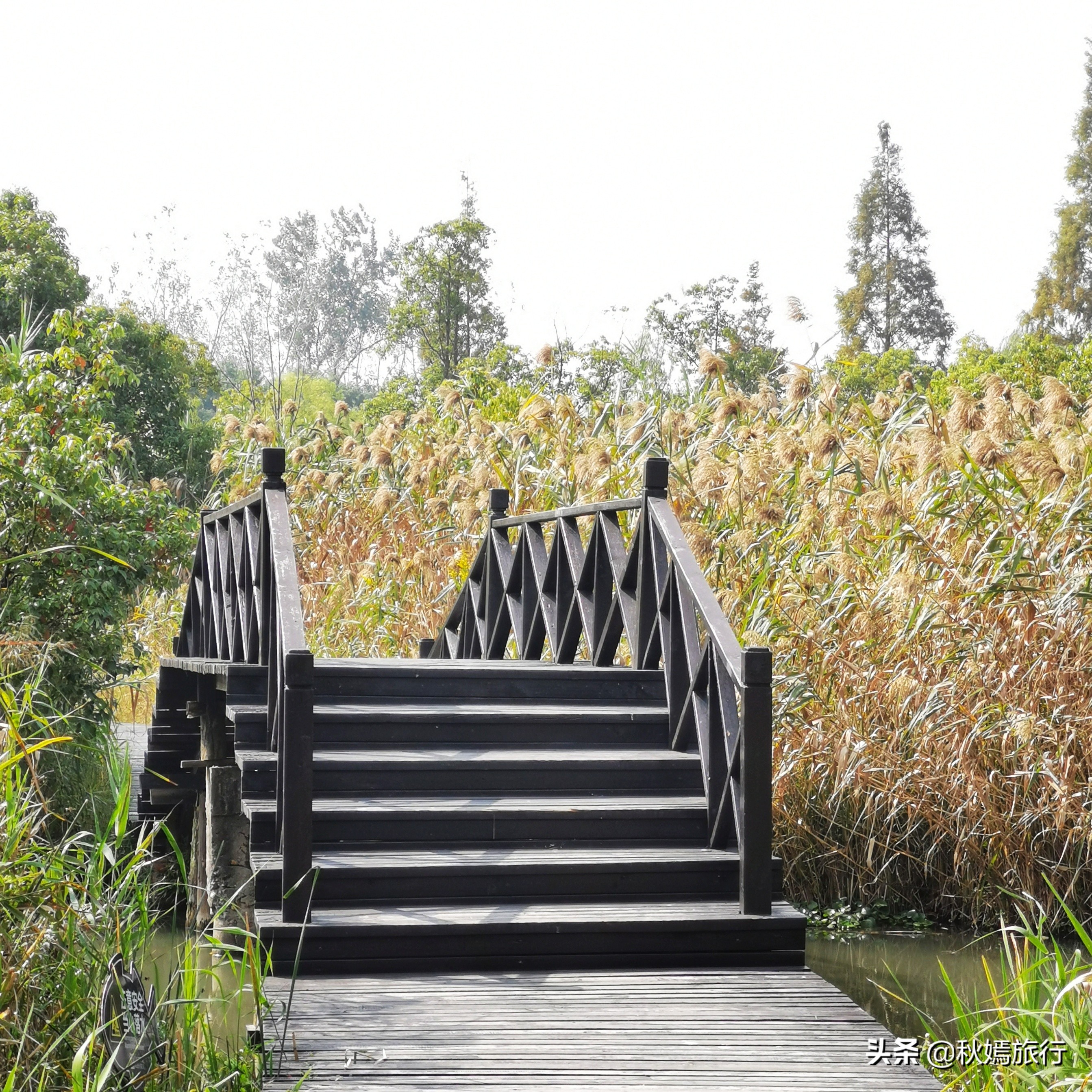 这座华东地区最大的湿地公园,拥有一千多亩芦苇荡,游客络绎不绝