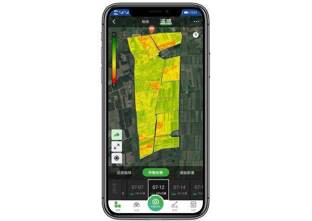 水稻除草剂药害叶片褐斑怎么回事,怎么解除玉米除草剂的药害