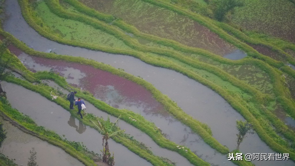 云南普者黑元阳坝美6天旅游攻略,云南建水普者黑旅游路线