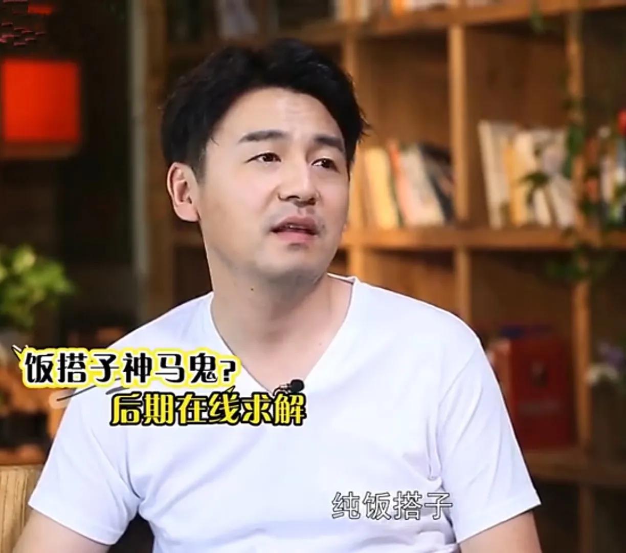 雷佳音中学辍学,雷佳音演双面间谍